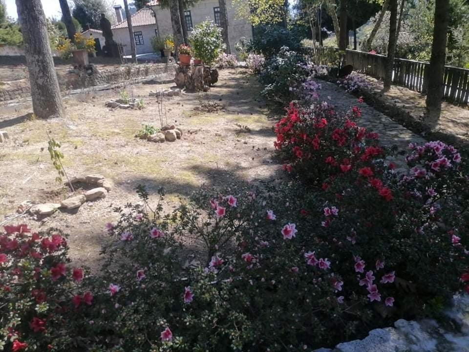 Vila Quinta Da Cartida Santa Marinha do Zêzere Exteriér fotografie