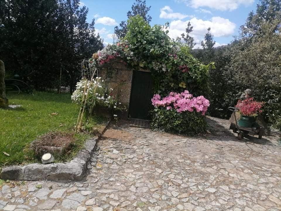 Vila Quinta Da Cartida Santa Marinha do Zêzere Exteriér fotografie
