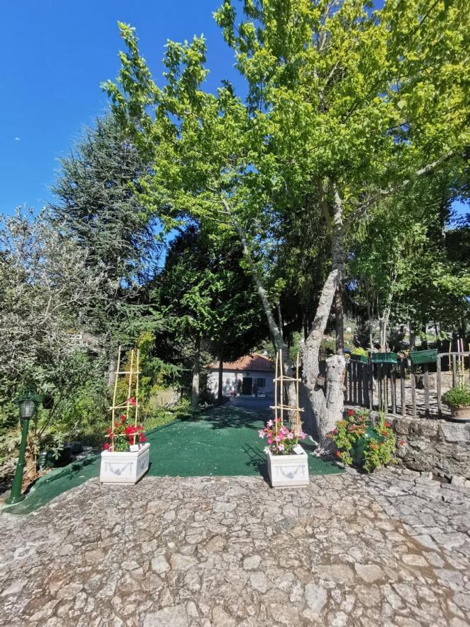 Vila Quinta Da Cartida Santa Marinha do Zêzere Exteriér fotografie